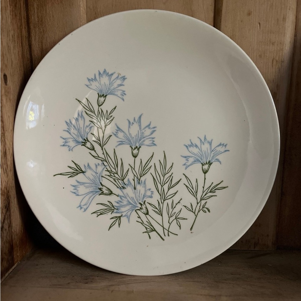 Vintage ironstone pottery plate
